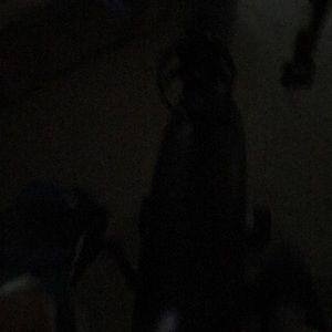 Meet your Posher, Martha dâanne